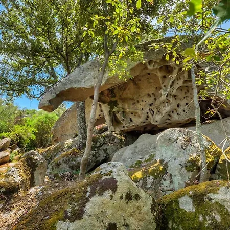 Vila Casa Jacumina